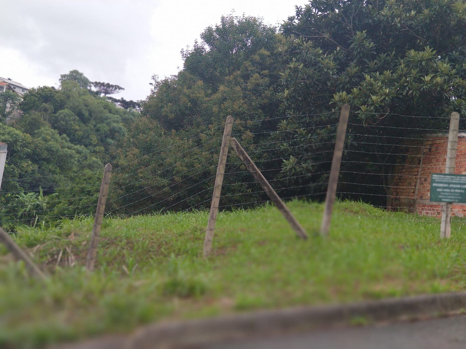 Terreno à venda, 556 m² no Pilarzinho — foto 1